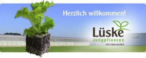 Lüske_Jungpflanzen_logo