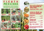 Flyer-Mexico 2-page-001